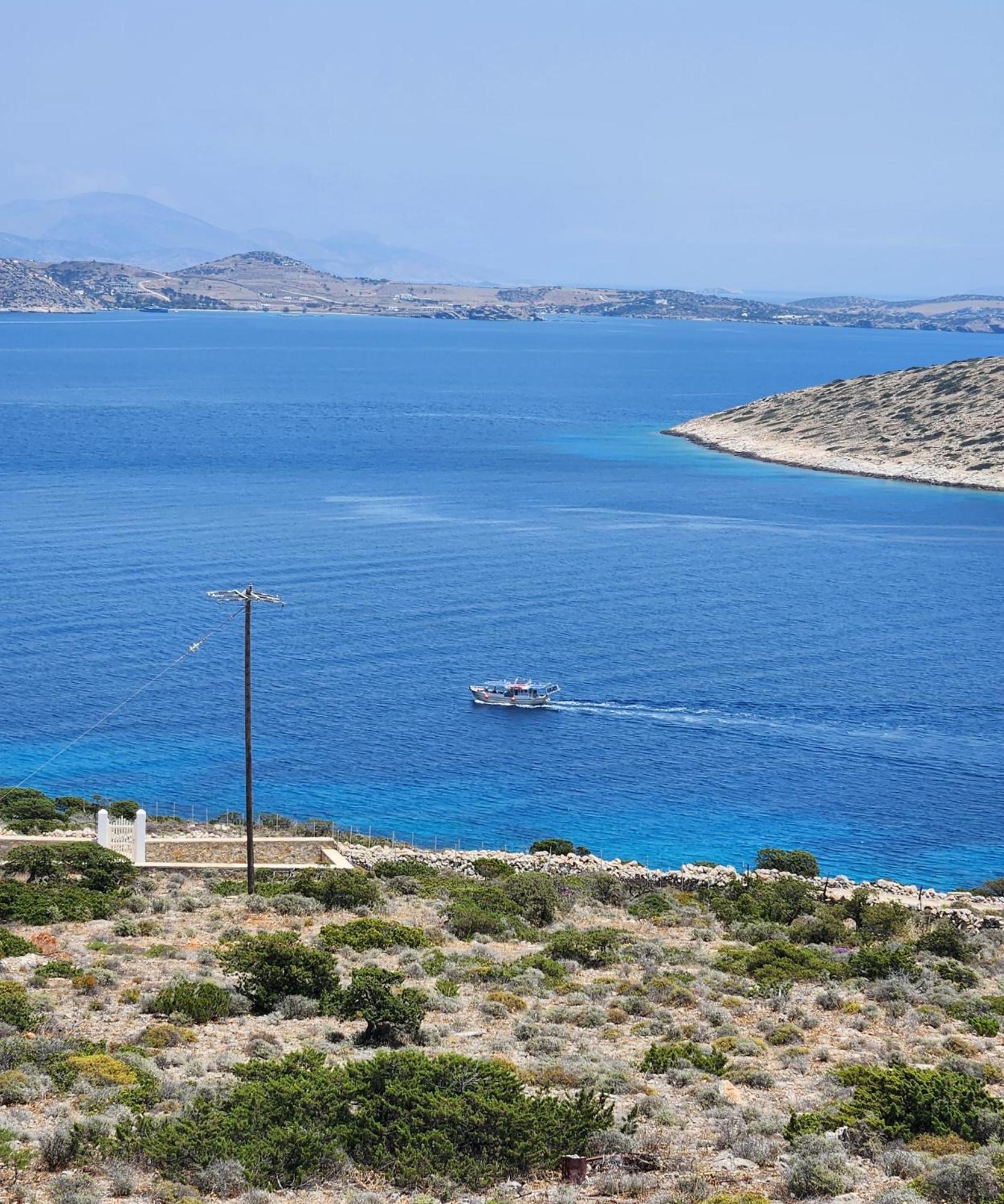 Panorama *